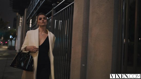 Sex appeal bitches arrange a wild sex orgy