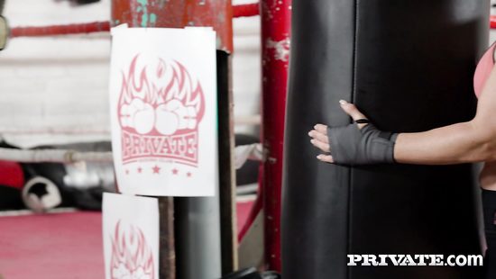 Agile hottie gets pleased by hardcore anal sex