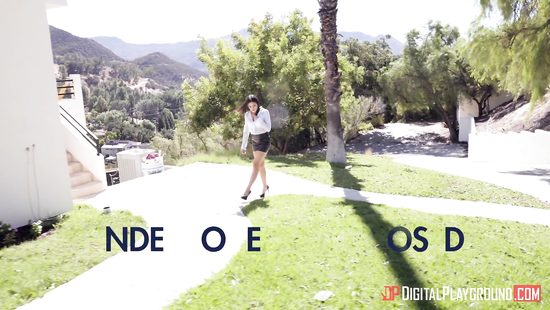 Boss fucks hairy pussy of his glamour female secretary