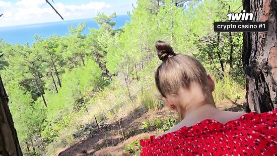 Сосни на морском берегу