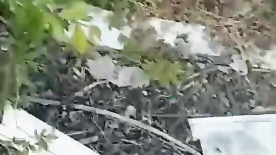 Трах с одной малышкой на природке;)