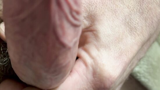 Член на чиле