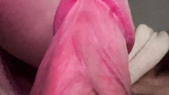 Член на чиле 