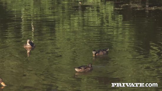 Guy with a beard discharges cum on girl's face