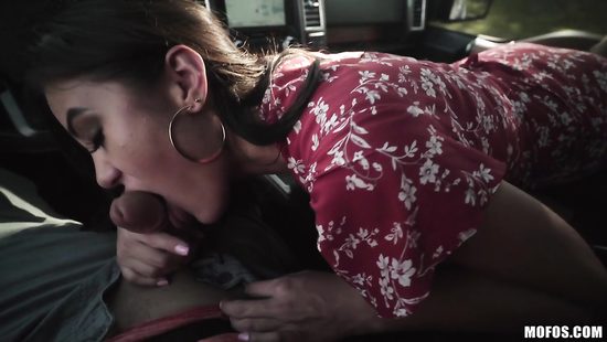 Naughty hitchhiker gets her hairy cunt screwed