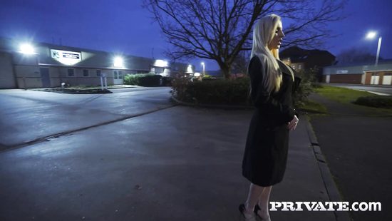 Office hottie fucks with her colleague after work