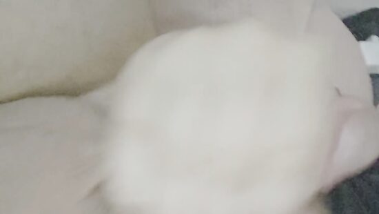 Люблю когда мною командуют