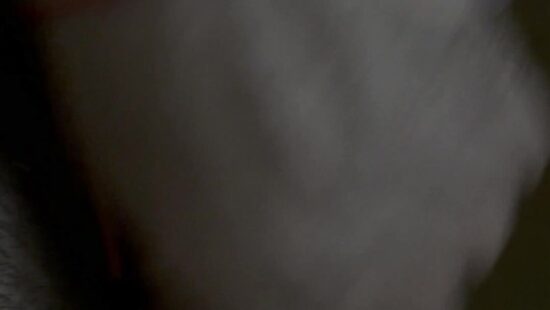 Не хватает нежных губок напротив