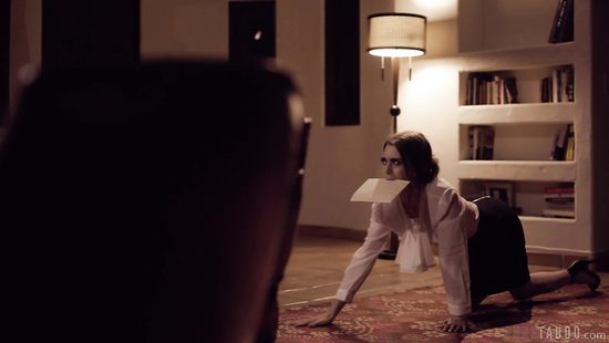 Secretary in white nylons screwed in the office